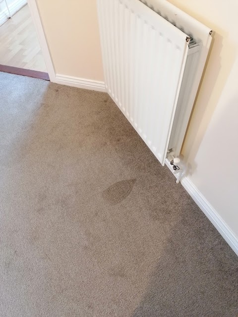 Carpet Repair Services