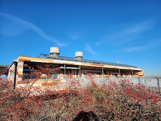 RSPB Café at Rainham Marshes Nature Reserve