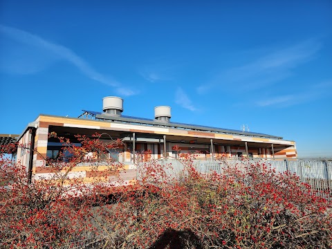 RSPB Café at Rainham Marshes Nature Reserve