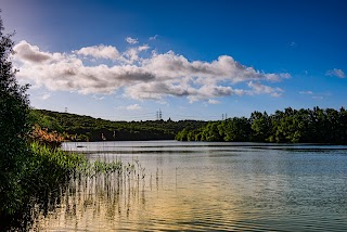 Treeton Dyke