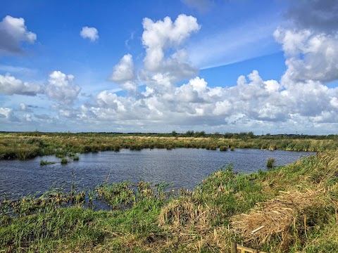 Lunt Meadows Nature Reserve