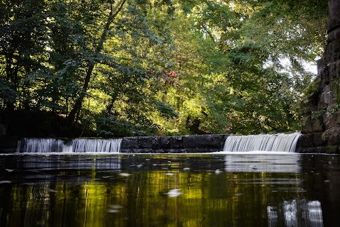 Brabyns Park