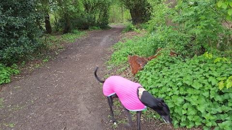 Toton Fields Nature Reserve