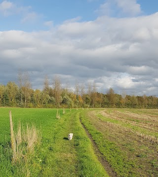 Silver Lane Lakes