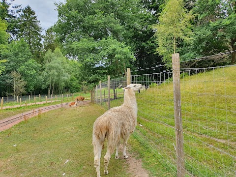 Clyde Valley Family Park