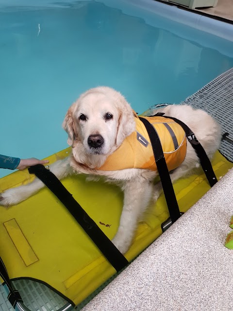 East Sussex Canine Hydrotherapy Centre