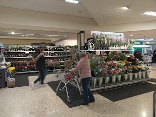 Morrisons