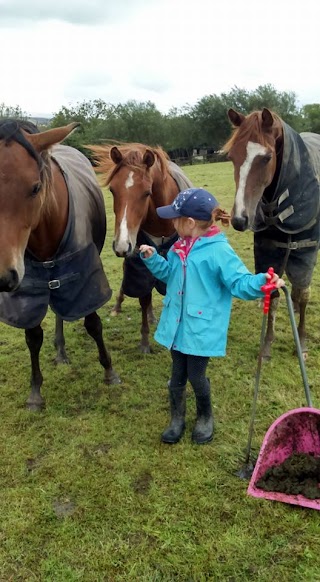 pet & equine holiday care