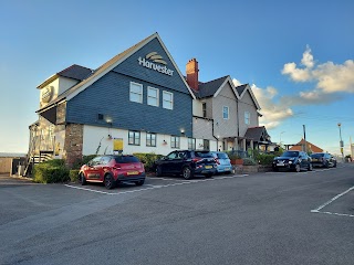 Harvester Borderer Newport