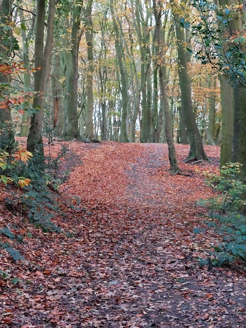 Cobbs Clough