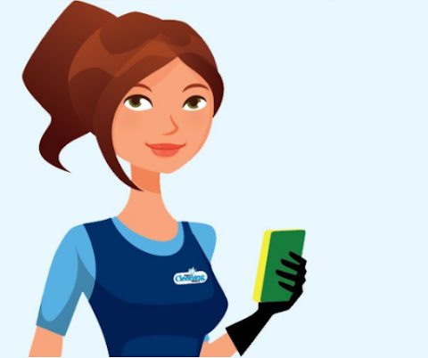 Domestic Cleaning Company