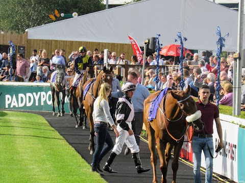 Leopardstown Racecourse