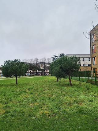 Wildflower Meadow at Jubilee Park