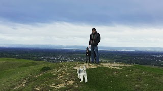 CaNine 2 Five - Dog Walking Stroud & Stonehouse