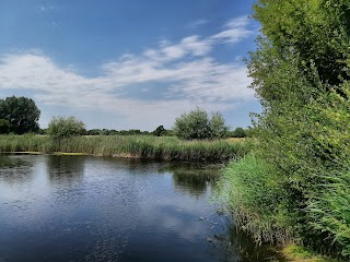 Oracle Lakes