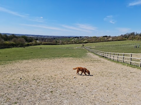 Darenth Country Park