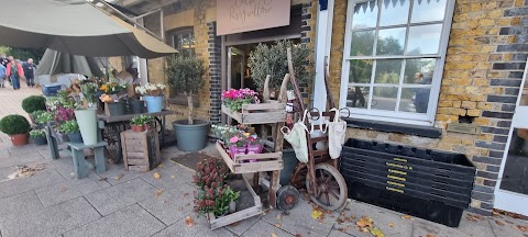 Catkin & Pussywillow Artisan Florist, Winchester