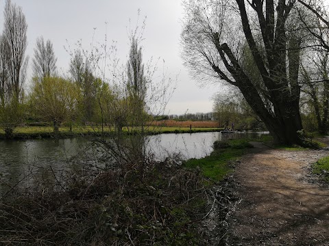 Lammas Land Pool