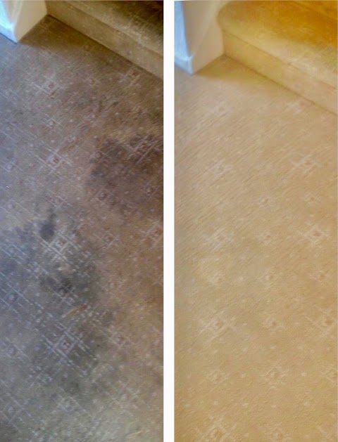 CCS Carpet Cleaning