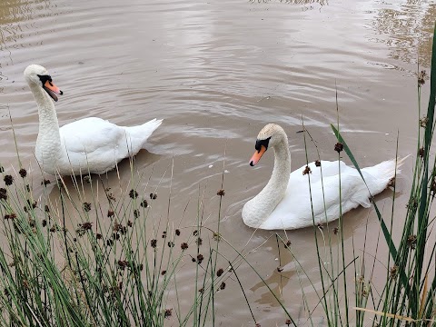 Greenhead Moss Nature Reserve