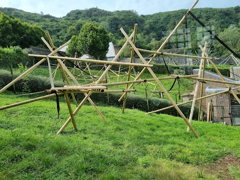 The Treetop Tearoom