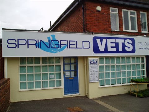 Springfield Veterinary Group - Gleadless
