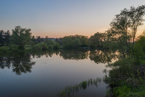 Скельна стіна Тростянець