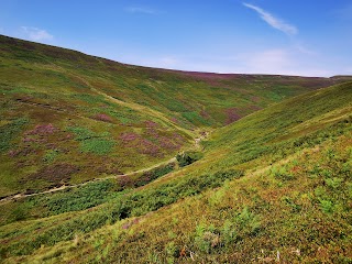 Kinder Downfall