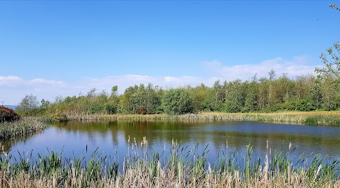 Lilypot Log Cabins