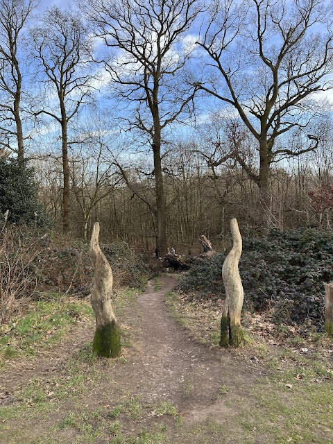 Moseley Bog