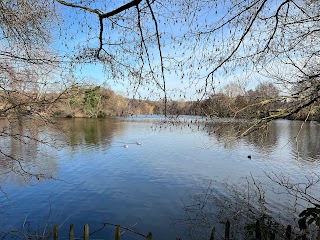 South Weald Deer Enclosure