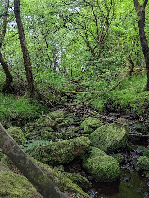 HATCH BROOK WATERFALL