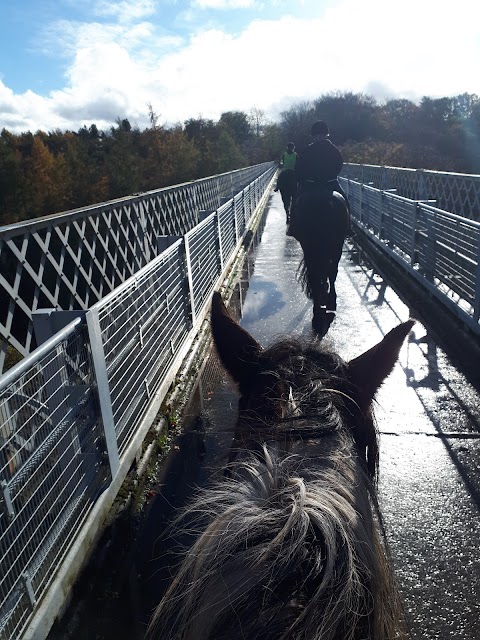 Edinburgh & Lasswade Riding Centre