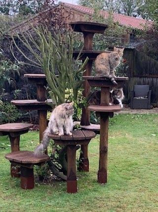 Woodside Cat Trees