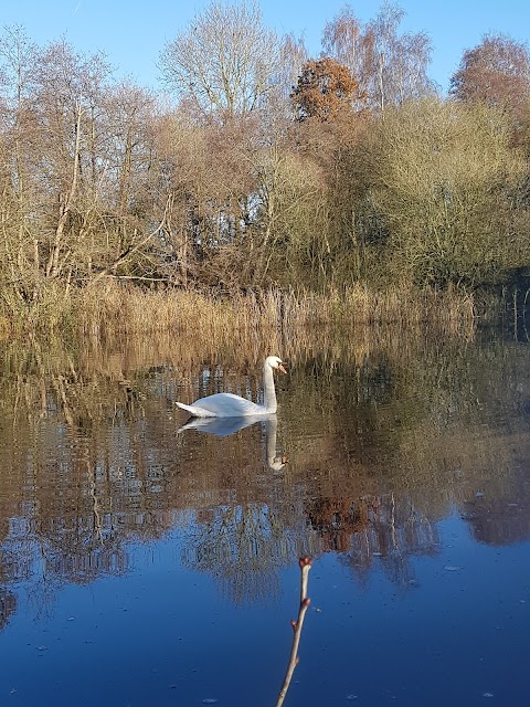 Sparham Pools