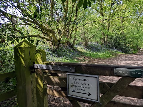 National Trust - Downs Banks