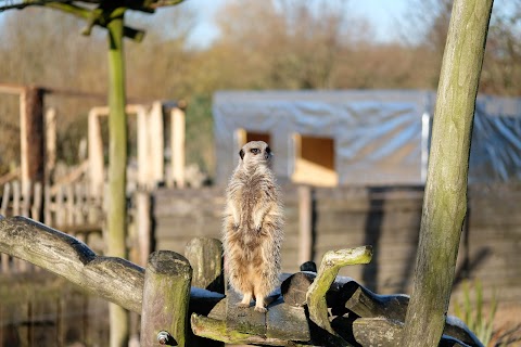 Hobbledown Adventure Farm Park and Zoo