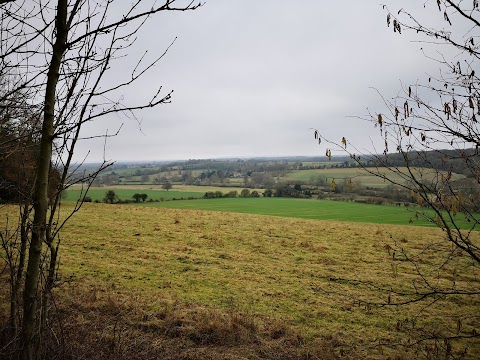 Dunreyth Alpacas (Chichester)