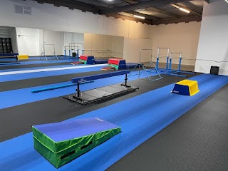 The Dance & Gymnastics Academy