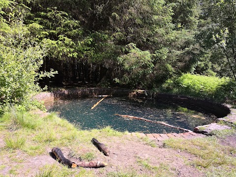 Torwood Blue Pool