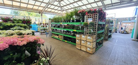 B&M Home Store with Garden Centre