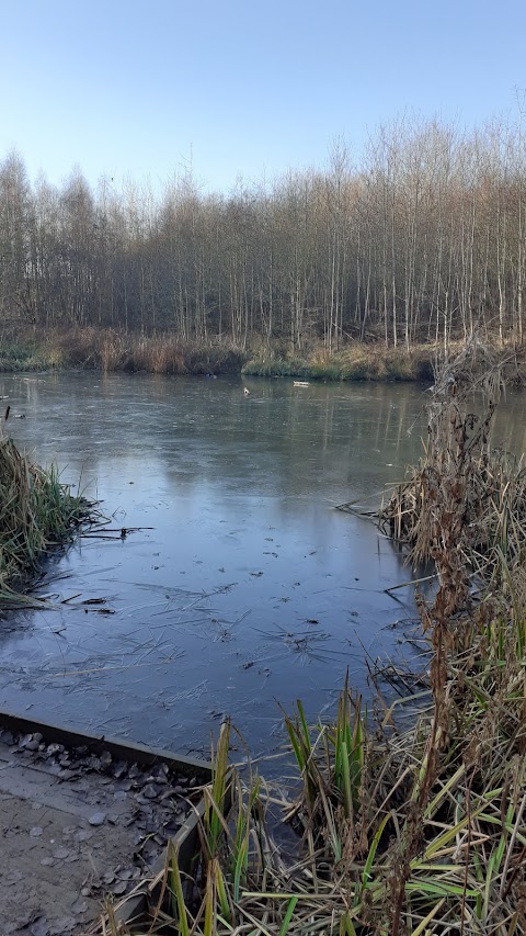 Colliery Nature Park