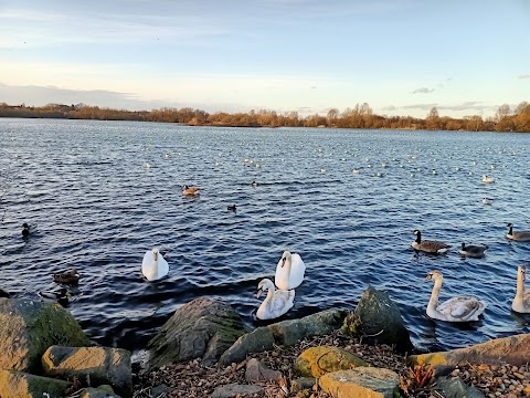 Nature Lake, Watermead Country Park