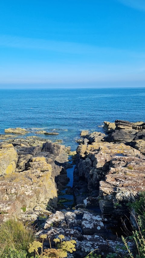 Mourne Coastal Trail