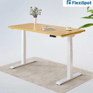 Flexispot ltd