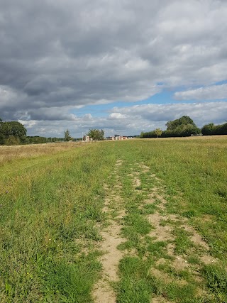 Peacock Meadows