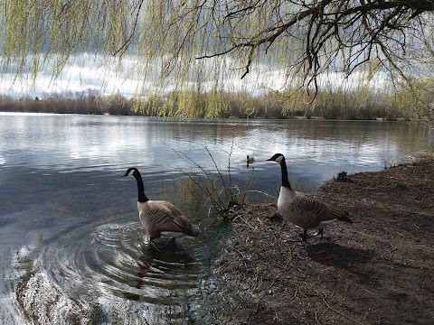 Daneshill Lakes