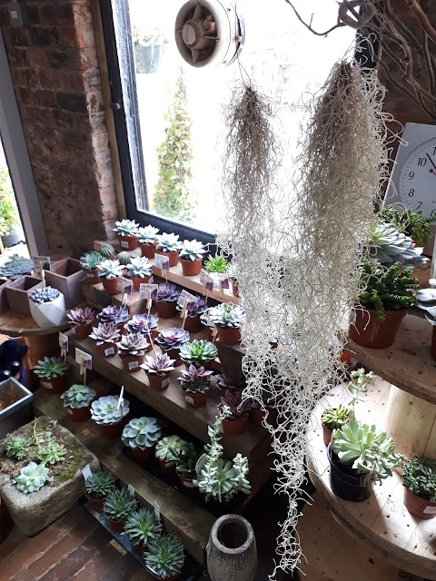 Hyacinth House Floristry