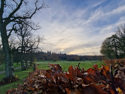 Callendar Park