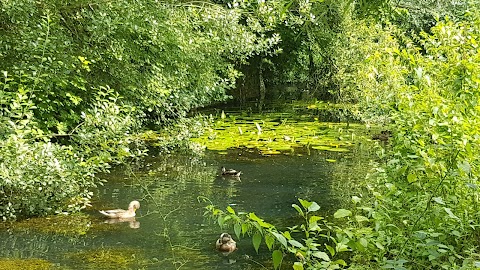 Forest Farm Country Park